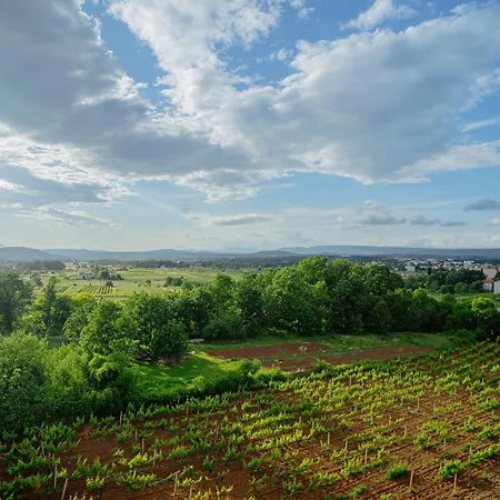 Pansion Karolina Alojamento de Acomodação e Pequeno-almoço *